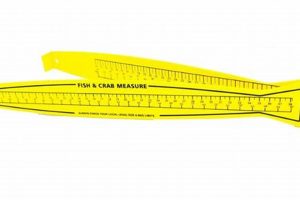 Best Kayak Fishing Rulers: Top Picks & Guide | Certified Kayak Fishing Instructor – Learn Kayak Angling with Expert Guidance