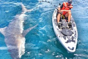 Ultimate Kayak Fishing for Sharks: A Guide | Certified Kayak Fishing Instructor – Learn Kayak Angling with Expert Guidance