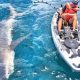 Ultimate Kayak Fishing for Sharks: A Guide | Certified Kayak Fishing Instructor – Learn Kayak Angling with Expert Guidance
