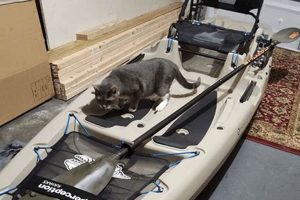 Top 5 Best First Fishing Kayaks for Beginners | Certified Kayak Fishing Instructor – Learn Kayak Angling with Expert Guidance