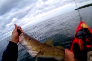Ultimate Kayak Cod Fishing Guide | Certified Kayak Fishing Instructor – Learn Kayak Angling with Expert Guidance