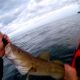 Ultimate Kayak Cod Fishing Guide | Certified Kayak Fishing Instructor – Learn Kayak Angling with Expert Guidance