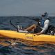 Ultimate Kayak Fishing for Yellowtail Guide | Certified Kayak Fishing Instructor – Learn Kayak Angling with Expert Guidance