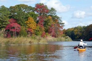 Top Kayak Spots in Maryland for Paddlers | Certified Kayak Fishing Instructor – Learn Kayak Angling with Expert Guidance