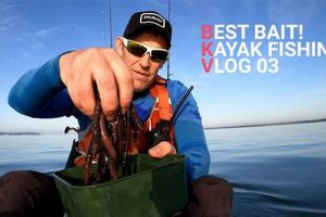 Top Baits for Kayak Fishing Success | Certified Kayak Fishing Instructor – Learn Kayak Angling with Expert Guidance