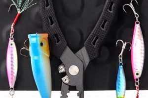 Top Kayak Fishing Tools & Accessories | Certified Kayak Fishing Instructor – Learn Kayak Angling with Expert Guidance