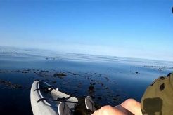 Ultimate Kayak Fishing: Palos Verdes Guide Certified Kayak Fishing Instructor – Learn Kayak Angling with Expert Guidance Ultimate Kayak Fishing: Palos Verdes Guide | Certified Kayak Fishing Instructor – Learn Kayak Angling with Expert Guidance
