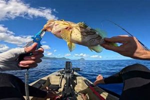 Best Kayak Fishing in Mauritius: A Guide Certified Kayak Fishing Instructor – Learn Kayak Angling with Expert Guidance Best Kayak Fishing in Mauritius: A Guide | Certified Kayak Fishing Instructor – Learn Kayak Angling with Expert Guidance