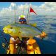 Top Dania Beach Kayak Fishing Spots & Tips | Certified Kayak Fishing Instructor – Learn Kayak Angling with Expert Guidance