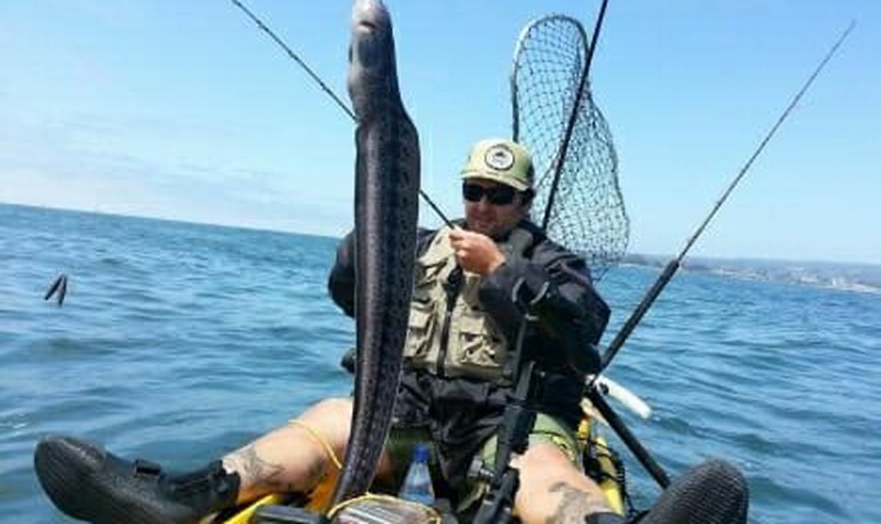 Ultimate Kayak Fishing Guide: Monterey Bay Certified Kayak Fishing Instructor – Learn Kayak Angling with Expert Guidance Ultimate Kayak Fishing Guide: Monterey Bay | Certified Kayak Fishing Instructor – Learn Kayak Angling with Expert Guidance