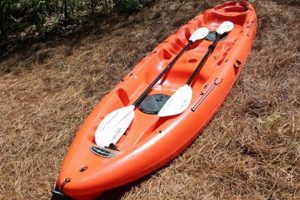 Best Equinox 12 Ft Fishing Kayak: Top Models | Certified Kayak Fishing Instructor – Learn Kayak Angling with Expert Guidance