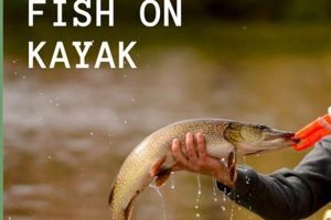 Where To Put Fish On A Kayak Certified Kayak Fishing Instructor – Learn Kayak Angling with Expert Guidance Where To Put Fish On A Kayak | Certified Kayak Fishing Instructor – Learn Kayak Angling with Expert Guidance