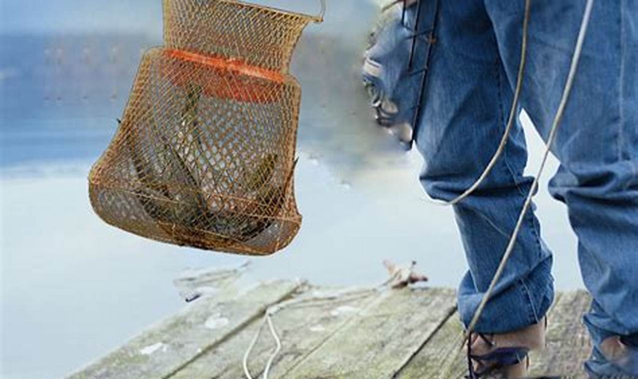 Best Kayak Fishing Baskets & Crates for 2024 | Certified Kayak Fishing Instructor – Learn Kayak Angling with Expert Guidance