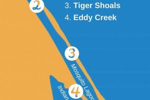 Top Mosquito Lagoon Kayak Fishing Guides & Charters | Certified Kayak Fishing Instructor – Learn Kayak Angling with Expert Guidance