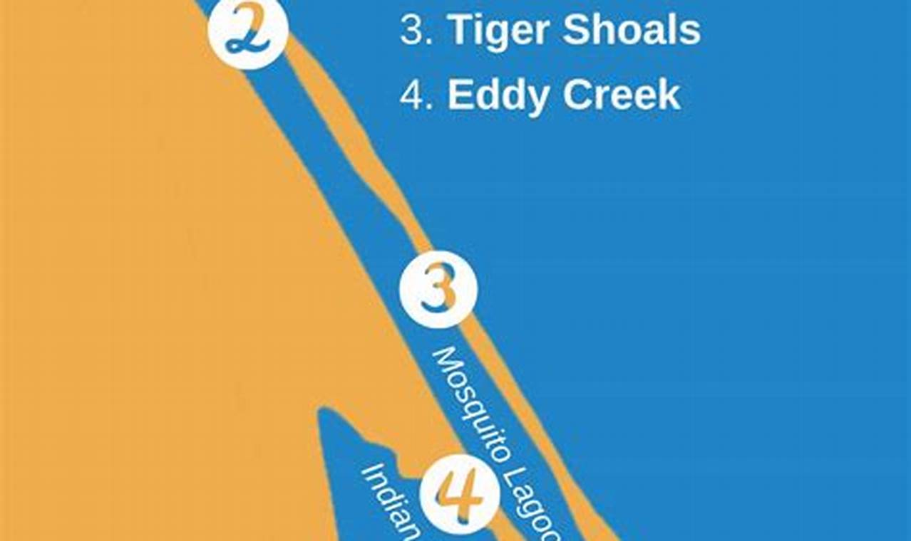 Top Mosquito Lagoon Kayak Fishing Guides & Charters Certified Kayak Fishing Instructor – Learn Kayak Angling with Expert Guidance Top Mosquito Lagoon Kayak Fishing Guides & Charters | Certified Kayak Fishing Instructor – Learn Kayak Angling with Expert Guidance