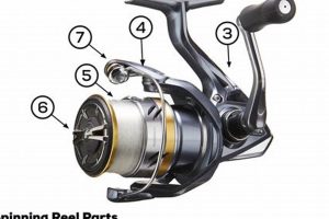 Foot Fishing Mastery: Kayak Techniques & Tips Certified Kayak Fishing Instructor – Learn Kayak Angling with Expert Guidance Foot Fishing Mastery: Kayak Techniques & Tips | Certified Kayak Fishing Instructor – Learn Kayak Angling with Expert Guidance