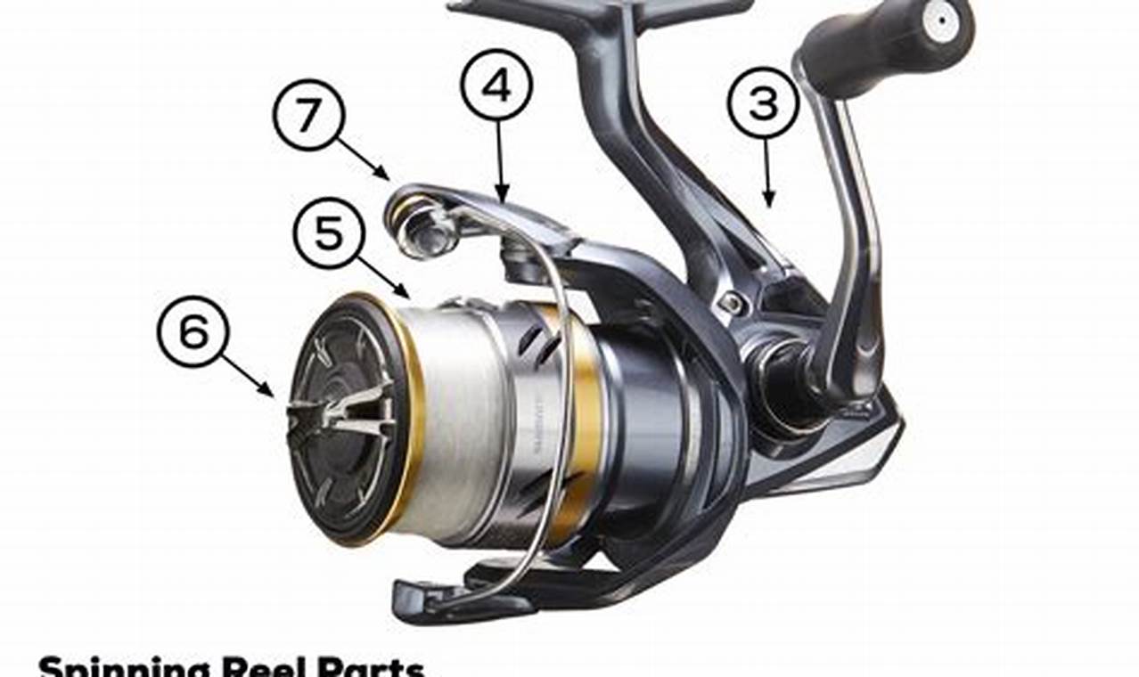 Foot Fishing Mastery: Kayak Techniques & Tips Certified Kayak Fishing Instructor – Learn Kayak Angling with Expert Guidance Foot Fishing Mastery: Kayak Techniques & Tips | Certified Kayak Fishing Instructor – Learn Kayak Angling with Expert Guidance