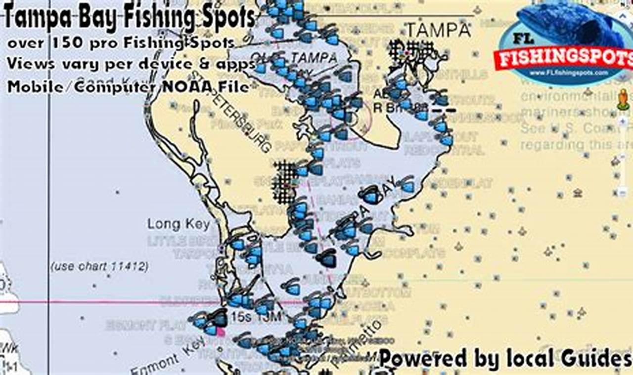 Tampa Bay Kayak Fishing Spots | Certified Kayak Fishing Instructor – Learn Kayak Angling with Expert Guidance