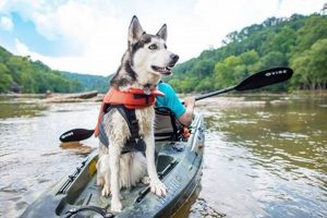 Top Fishing Kayaks for Dogs: Ultimate Guide | Certified Kayak Fishing Instructor – Learn Kayak Angling with Expert Guidance