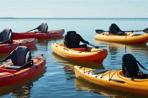 Best Kayaks 350 Pound Capacity: Top Picks | Certified Kayak Fishing Instructor – Learn Kayak Angling with Expert Guidance
