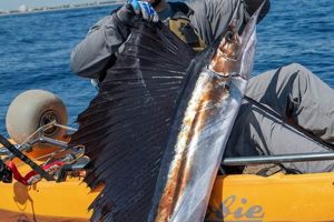 Epic Kayak Fishing for Sailfish Adventures | Certified Kayak Fishing Instructor – Learn Kayak Angling with Expert Guidance