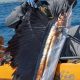 Epic Kayak Fishing for Sailfish Adventures | Certified Kayak Fishing Instructor – Learn Kayak Angling with Expert Guidance