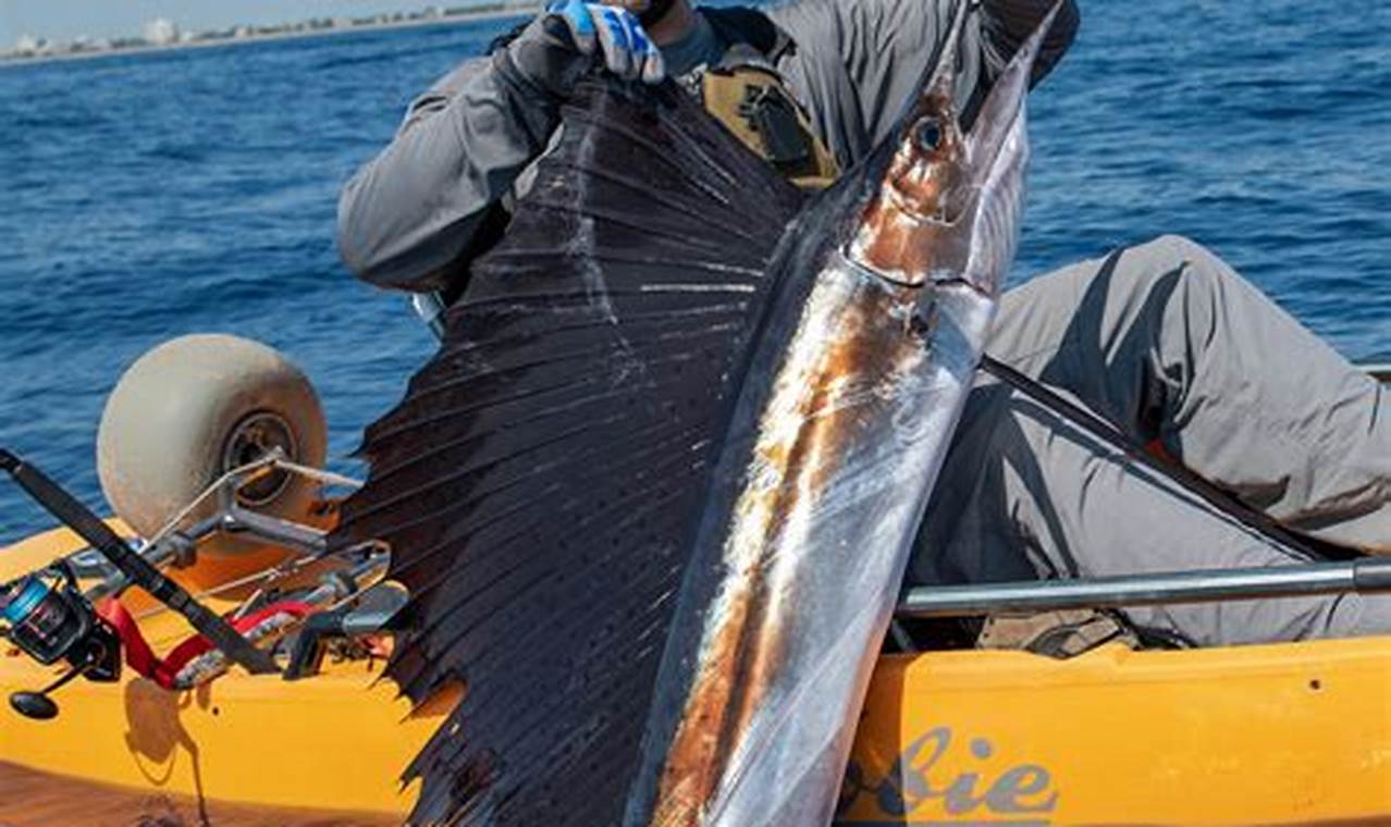 Epic Kayak Fishing for Sailfish Adventures | Certified Kayak Fishing Instructor – Learn Kayak Angling with Expert Guidance