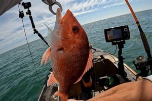 Ultimate Kayak Snapper Fishing Guide | Certified Kayak Fishing Instructor – Learn Kayak Angling with Expert Guidance