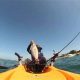 Ultimate Newport Harbor Kayak Fishing Guide | Certified Kayak Fishing Instructor – Learn Kayak Angling with Expert Guidance