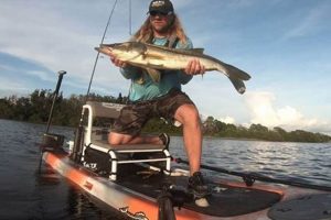 Snook Fishing Kayak Certified Kayak Fishing Instructor – Learn Kayak Angling with Expert Guidance Snook Fishing Kayak | Certified Kayak Fishing Instructor – Learn Kayak Angling with Expert Guidance