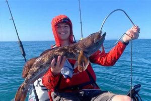 Ultimate Lingcod Kayak Fishing Guide Certified Kayak Fishing Instructor – Learn Kayak Angling with Expert Guidance Ultimate Lingcod Kayak Fishing Guide | Certified Kayak Fishing Instructor – Learn Kayak Angling with Expert Guidance
