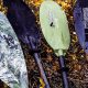 Top Fishing Kayak Paddles: Best of 2024 | Certified Kayak Fishing Instructor – Learn Kayak Angling with Expert Guidance