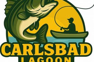 Top Kayak Fishing Contests & Tournaments Certified Kayak Fishing Instructor – Learn Kayak Angling with Expert Guidance Top Kayak Fishing Contests & Tournaments | Certified Kayak Fishing Instructor – Learn Kayak Angling with Expert Guidance