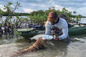 Top Flats Fishing Kayaks: Ultimate Guide Certified Kayak Fishing Instructor – Learn Kayak Angling with Expert Guidance Top Flats Fishing Kayaks: Ultimate Guide | Certified Kayak Fishing Instructor – Learn Kayak Angling with Expert Guidance