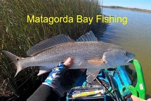 Best Kayak Fishing Spots: Matagorda Bay Guide Certified Kayak Fishing Instructor – Learn Kayak Angling with Expert Guidance Best Kayak Fishing Spots: Matagorda Bay Guide | Certified Kayak Fishing Instructor – Learn Kayak Angling with Expert Guidance