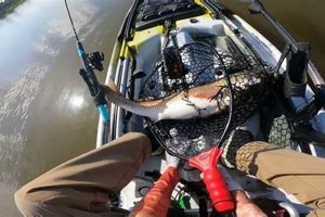 Best Yankeetown Kayak Fishing Spots & Tips | Certified Kayak Fishing Instructor – Learn Kayak Angling with Expert Guidance