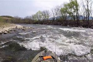 Best Kayak Fishing Spots: Potomac River Guide Certified Kayak Fishing Instructor – Learn Kayak Angling with Expert Guidance Best Kayak Fishing Spots: Potomac River Guide | Certified Kayak Fishing Instructor – Learn Kayak Angling with Expert Guidance