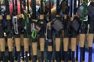Top McCain Kayak Fishing Rods & Accessories Certified Kayak Fishing Instructor – Learn Kayak Angling with Expert Guidance Top McCain Kayak Fishing Rods & Accessories | Certified Kayak Fishing Instructor – Learn Kayak Angling with Expert Guidance