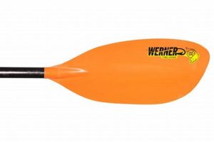 Top Werner Kayak Fishing Paddles: Guide & Reviews | Certified Kayak Fishing Instructor – Learn Kayak Angling with Expert Guidance