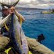 Ultimate Tuna Kayak Fishing Guide | Certified Kayak Fishing Instructor – Learn Kayak Angling with Expert Guidance