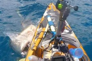 Kayaker In Hawaii Gets Frightening Surprise While Fishing | Certified Kayak Fishing Instructor – Learn Kayak Angling with Expert Guidance