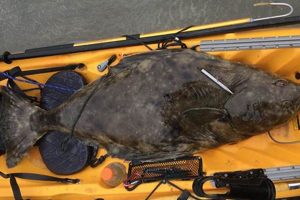 Ultimate Kayak Halibut Fishing Guide | Certified Kayak Fishing Instructor – Learn Kayak Angling with Expert Guidance