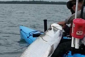 Ultimate Key West Kayak Fishing Adventure | Certified Kayak Fishing Instructor – Learn Kayak Angling with Expert Guidance