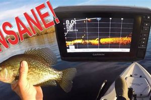 Best Livescope for Kayak Fishing: Top Picks & Guide | Certified Kayak Fishing Instructor – Learn Kayak Angling with Expert Guidance