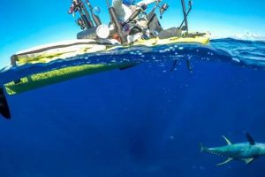 Epic Kayak Shark Fishing: A Thrill Seeker's Guide Certified Kayak Fishing Instructor – Learn Kayak Angling with Expert Guidance Epic Kayak Shark Fishing: A Thrill Seeker's Guide | Certified Kayak Fishing Instructor – Learn Kayak Angling with Expert Guidance