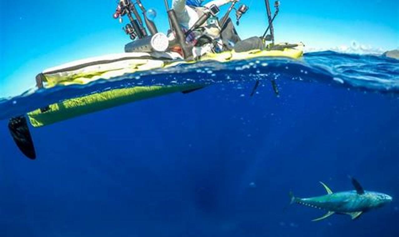 Epic Kayak Shark Fishing: A Thrill Seeker's Guide | Certified Kayak Fishing Instructor – Learn Kayak Angling with Expert Guidance