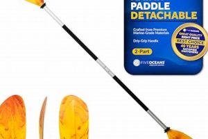 Best Fishing Kayak Paddle Guide: How to Choose | Certified Kayak Fishing Instructor – Learn Kayak Angling with Expert Guidance