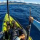 Ultimate Kayak Fishing: Shark Encounters in Hawaii | Certified Kayak Fishing Instructor – Learn Kayak Angling with Expert Guidance