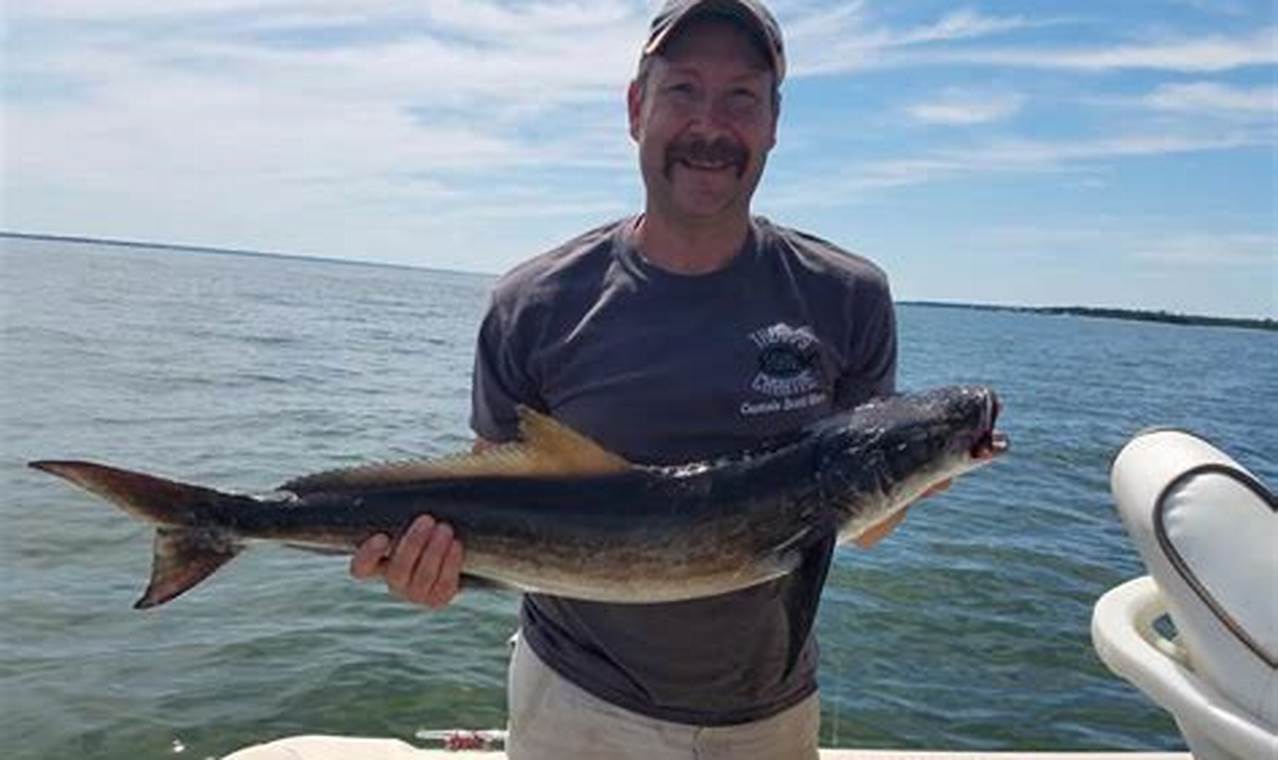 Chesapeake Bay Kayak Fishing Guide Certified Kayak Fishing Instructor – Learn Kayak Angling with Expert Guidance Chesapeake Bay Kayak Fishing Guide | Certified Kayak Fishing Instructor – Learn Kayak Angling with Expert Guidance