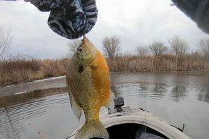 Ultimate Guide to Kayak Ice Fishing Adventures | Certified Kayak Fishing Instructor – Learn Kayak Angling with Expert Guidance